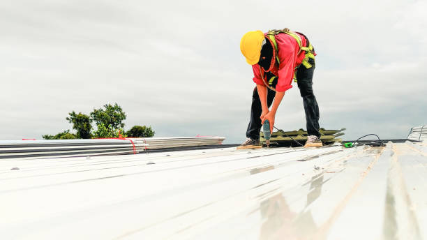Best Roof Maintenance and Cleaning  in Lake Shore, UT